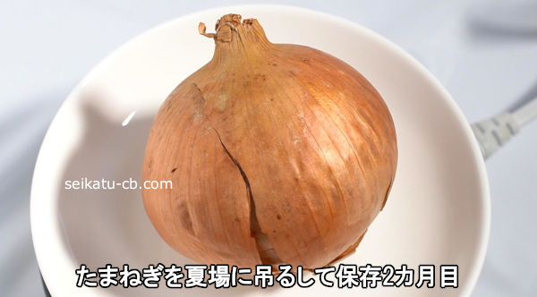 ���ޤͤ���ƾ���ߤ뤷����¸2������