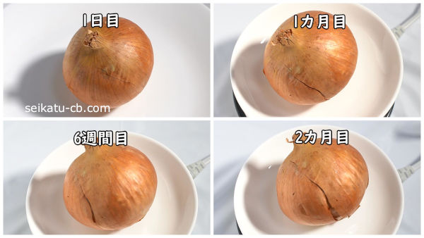 ���ޤͤ���ƾ���ߤ뤷����¸1���ܤ�1�����ܤ�6�����ܤ�2������