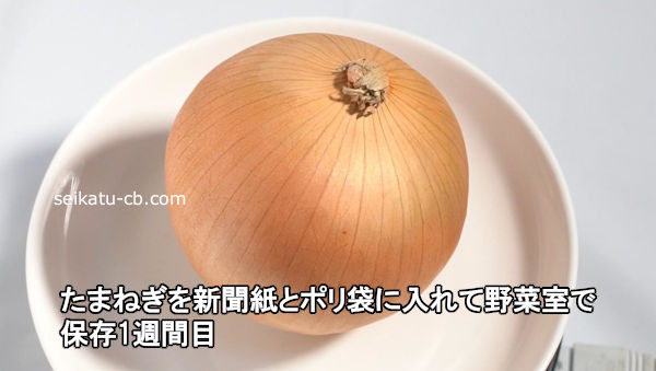 ���ޤͤ���ʹ��ȥݥ��ޤ��������ڼ�����¸2������