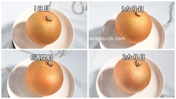 ���ޤͤ���ʹ��ȥݥ��ޤ��������ڼ�����¸1���ܤ�1�����ܤ�6�����ܤ�2������