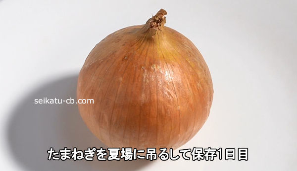 ���ޤͤ���ƾ���ߤ뤷����¸1����