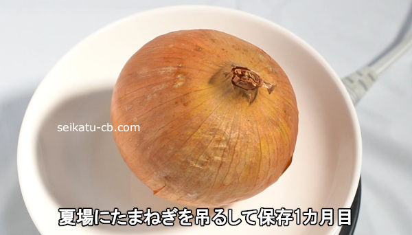 ���ޤͤ���ƾ���ߤ뤷����¸1������