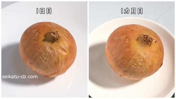 ���ޤͤ���ƾ���ߤ뤷����¸1���ܤ�1������