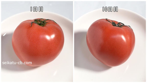 トマトを常温保存1日目と10日目