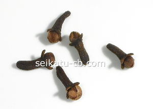 ��������5γ