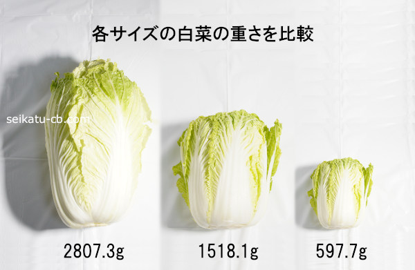 各サイズの白菜の重さを比較