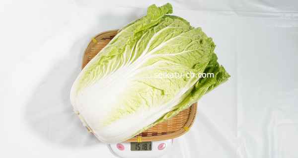 白菜1個・1玉の重さは1257.5g