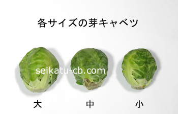 各サイズの芽キャベツ1個の大きさ