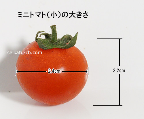 ミニトマトの重さは1個 1粒で何グラム 大きさやカロリーは 生活知恵袋