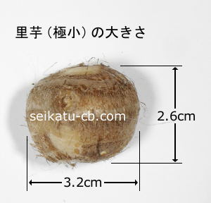 里芋（極小）1個の大きさ