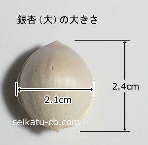 �礭�ʶ��1γ���礭��