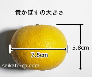 黄かぼす1個の大きさ