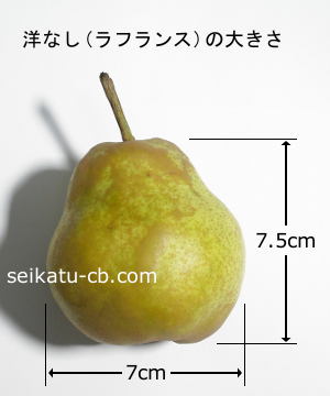 西洋梨(ラフランス)1個の大きさ