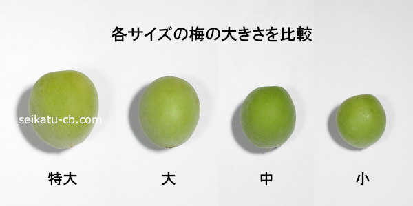 ���ߤ����硦�硦�桦���ν���¤٤��礭�����