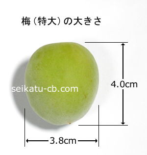 ���ߡ������1�Ĥ��礭��