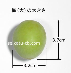 ���ߡ����1�Ĥ��礭��