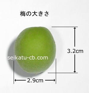 ����1�Ĥ��礭��