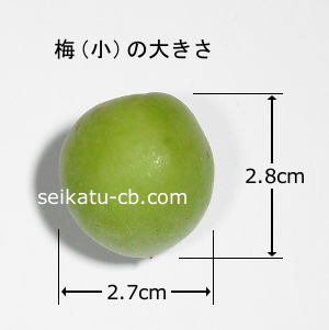 ���ߡʾ���1�Ĥ��礭��