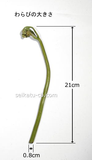 ����1�ܤ��礭��