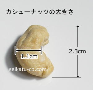 �����塼�ʥå�1γ���礭��