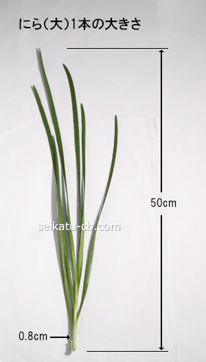 �˥�����1«���礭��