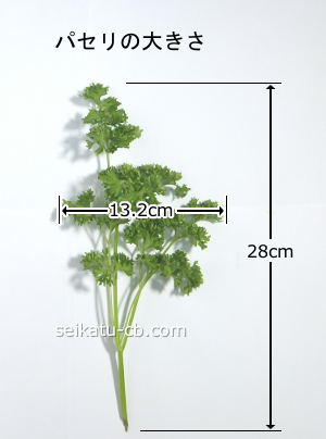 �ѥ���1�ܤ��礭��