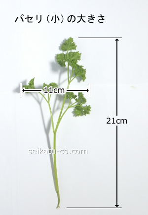 �������ѥ���1�ܤ��礭��