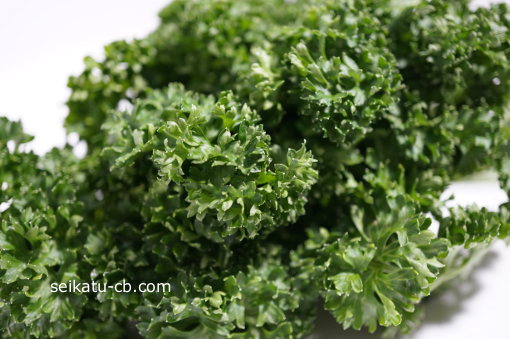 �ѥ���β���