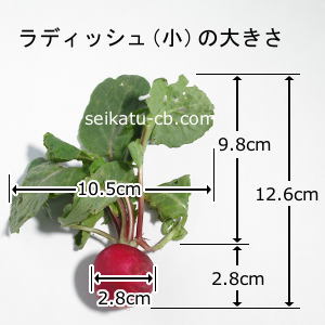 �����ʥ�ǥ��å���1�����礭��