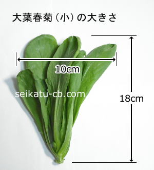 ���սյơʾ���1�����礭��