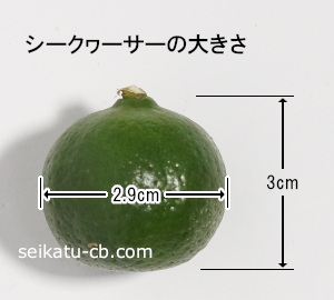 �����������1�Ĥ��礭��