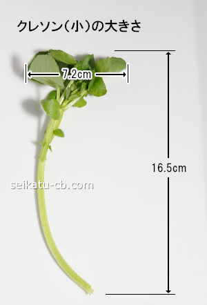 小(S)サイズのクレソン1本の大きさ