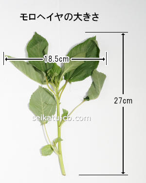 ����إ���1�ܤ��礭��