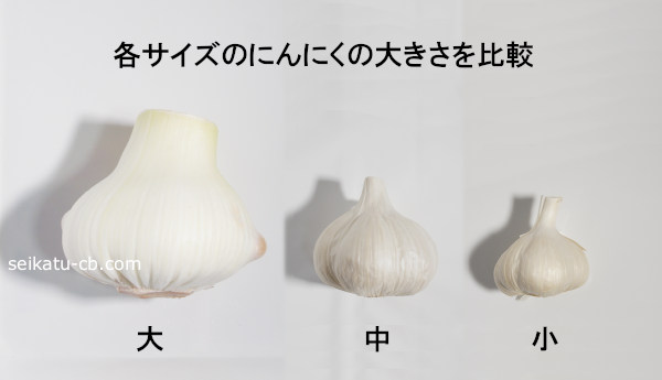 �ƥ������Υ���٥Ĥ��礭�����