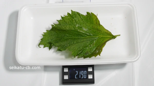 �礭���Ĥ��������ա�1��νŤ���2.19g