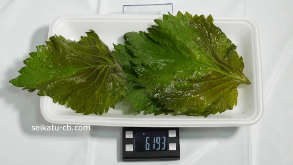 �礭���Ĥ��������ա�3��νŤ���6.193g