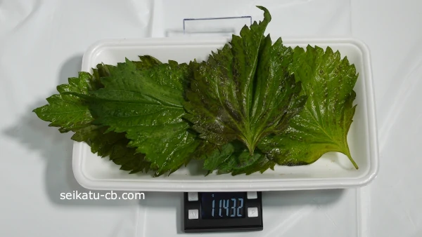 �礭���Ĥ��������ա�5��νŤ���11.432g