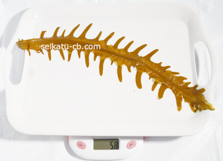 �������������狼��1�ܤνŤ���5.8g