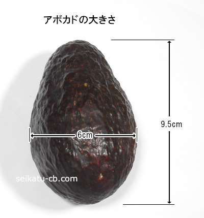 ���ܥ���1�Ĥ��礭��