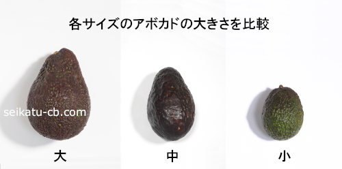 �ƥ������Υ��ܥ��ɤ��礭�������