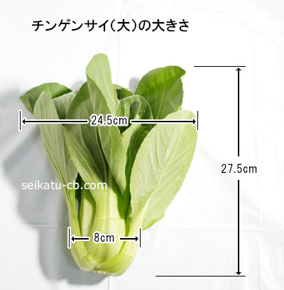 ���L�˥������Υ��󥲥󥵥�1�����礭��