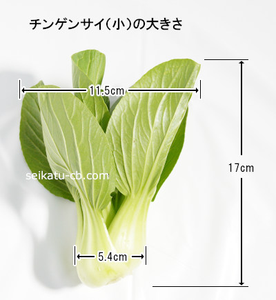 ����S�˥������Υ��󥲥󥵥�1�����礭��