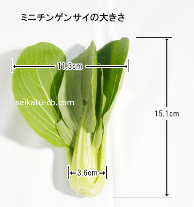 �ߥ˥��󥲥󥵥�1�����礭��