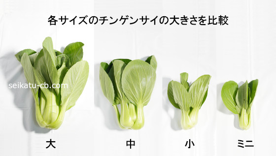 �ƥ������Υ��󥲥󥵥����礭�����