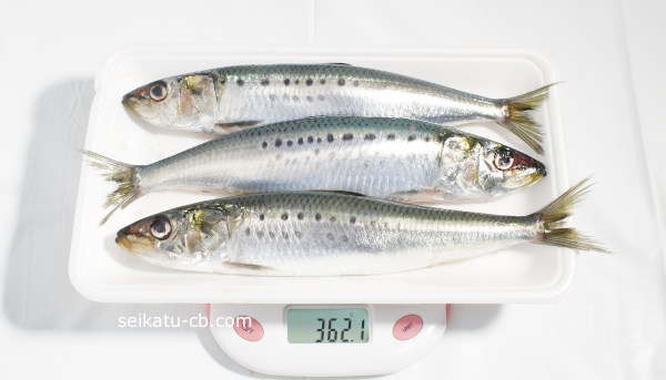 ���路�����1�ѥå��νŤ���362.1g