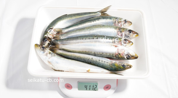 ���路�ʾ���1�ѥå��νŤ���411.2g