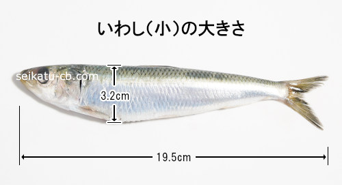 ���路�ʾ��ˤ��礭��