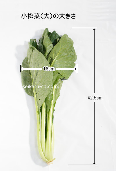 ���L�˥������ξ�����1�����礭��