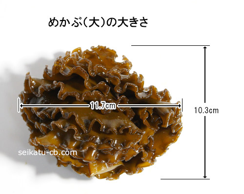 大サイズのめかぶ1個、1本の大きさ