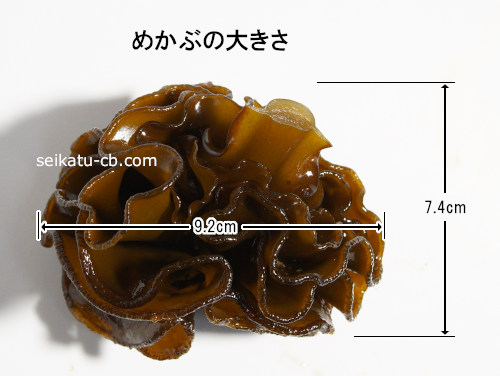 中サイズのめかぶ1個、1本の大きさ